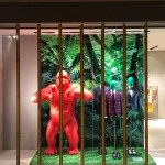 G & B JUNGLE