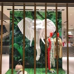 G & B JUNGLE 5