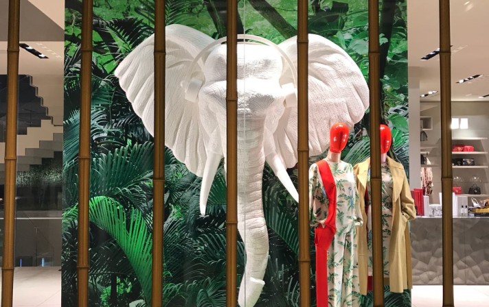 G & B JUNGLE 5
