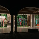 G & B JUNGLE 6