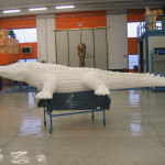 SCULTURE 3D